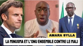 Amara Sylla- Le plan de la Minusma contre le Mali a l'ONU. La France voulait pieger le Ministre Diop