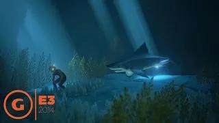 ABZU - E3 2014 Trailer at Sony Press Conference