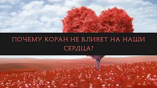 Почему Коран не влияет на наши сердца? Толкование Корана.