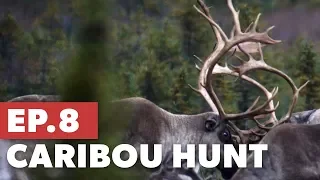 Hunting right to the last minute - NWT Caribou Hunt - TMP S5:E8