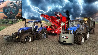 Harvesting Sugar Beet w/ New Holland T7 185 & 220 (Hard Conditions) - FS 19 | Logitech g29 gameplay