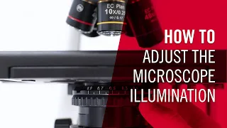 How to adjust the microscope illumination | by Motic Europe