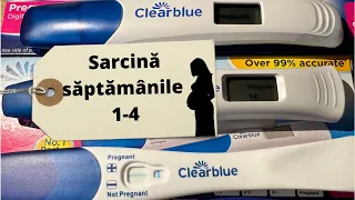 Jurnal de sarcina 1-4 saptamani | primul trimestru | simptome de sarcina | teste de sarcina