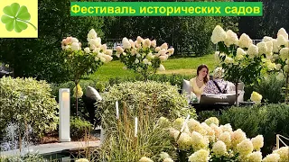 Москва. Фестиваль исторических садов "Сады и мифы" в Царицыно (25.08.2023)