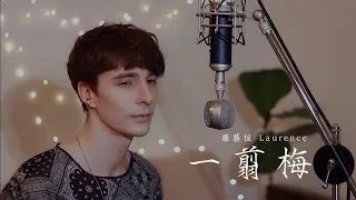 羅藝恆 Laurence 《一剪梅 xue hua piao piao》中英版 Cover #唱得不一樣 #xuehuapiaopiao