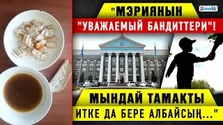 ЖАНЫЛЫКТАР (5-апрель) Бала бакчадагы тамакты ит да жебейт! Мэрия "бандиттери" көңүл бурбай жатабы?