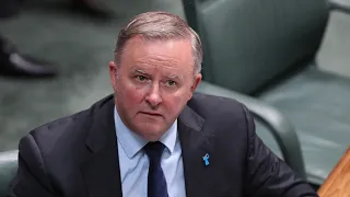 'Exactly what you should expect': Albanese on NACC Bill inquiry