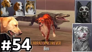 Hunting With All Dogs In Australia! Deer Hunter 2017 Ep54