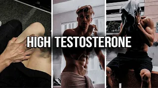 WHY you need to increase your TESTOSTERONE level in 2024 ASAP