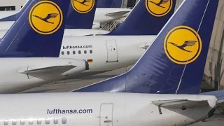 Lufthansa Cancels 136 Flights Due To Cabin Crew Strike