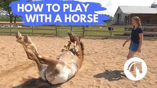 HOW TO PLAY WITH A HORSE