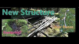 My Bigfoot Story Ep  82  - New Structure & Possible Foot Print