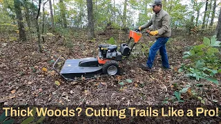 Want Trails? 2 Tools & Done! DR Brush Mower/Stihl Chainsaw.