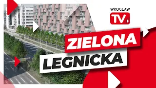 Ale to będzie zmiana! Posadzą prawie tysiąc drzew przy ul. Legnickiej i Lotniczej | Wrocław TV