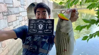 HUGE RARE FISH CAUGHT WHILE URBAN FISHING!!! (Surprise Ending)