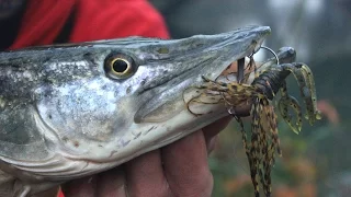 Fishing with Soft Plastic Craws/Crayfish Lures