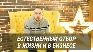 Естественный отбор в жизни и в бизнесе