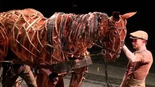 Making War Horse - Adaptation