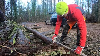 Holzpolter (Holzpolder) für Brennholz aufbereiten