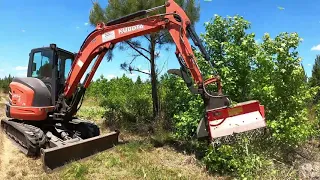 NATURE STRIKES BACK! Mulching More Gum Trees With The Prinoth M450e-900