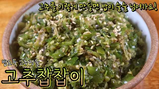 청양/풋고추 찹찹 다져 엄청난 밥도둑 뚝딱 만드세요! '고추장물' 정말 쉽고 맛있는 레시피~ (닌자초퍼 공동구매, 아이스크림 만들기)