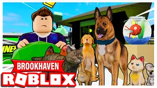 ENCUENTRO UN SERVIDOR SOLO PARA MASCOTAS en BROOKHAVEN - Roblox YoSoyLoki