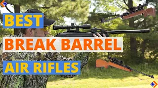 Top 6 Best Break Barrel Air Rifle 2024 | Best Air Rifles 2024