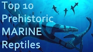 Top 10 Prehistoric MARINE Reptiles