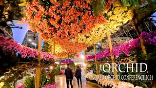 【4K Orchid 】 World Orchid Conference 2024 in Taiwan, #世界蘭花會議 Taiwan International Orchid Exhibition