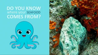 Blockchain technology for seafood traceability