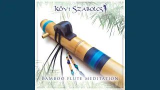 Bamboo flute meditation