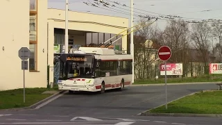 Pardubice Trolleybus Ride Route 11 Poděbradská to Dubina sever