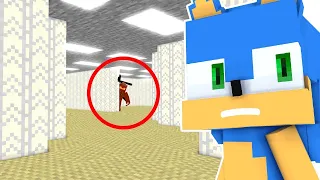 Sonic got into the BACKROOMS (Minecraft Animation Teaser) | SonicLife
