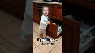 Застукали сына за кражей😀 #дети #ребенок #юмор