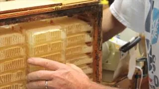 Unique Process of Herman's Honeycomb