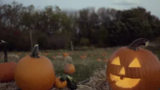 4k Spooky Pumpkin with Relaxing Halloween Music and Nature Sounds - 2 Hours at Windy Brow Farms