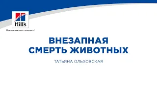 Вебинар на тему: “Внезапная (скоропостижная) смерть животных - патологоанатомические диагнозы”.