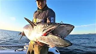 Monster mackerel on trolled bonito!