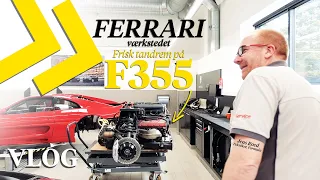 DØD Ferrari-gearkasse og MOTOR UD på en F355!?! VLOG fra projekterne på værkstedet