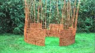 Willow Structure time lapse