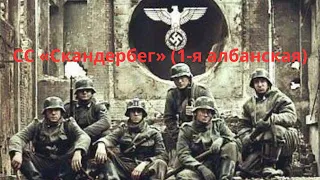 21-я добровольческая горнопехотная дивизия СС «Скандербег» (1-я албанская)