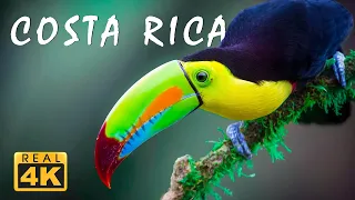 COSTA RICA IN 4K 60fps HDR 📸 Relaxing Music Along With Beautiful Nature Videos 🎵 4K Video Ultra HD