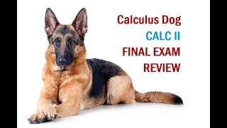 12. Calculus II Final Exam Review S16