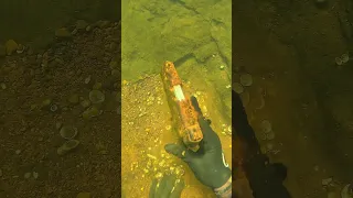 Find The Gun Before I Do! (Scuba Diving)