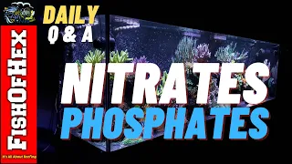 Fixing Unbalanced Nitrates & Phosphates | Can You Auto Dose? | Daily Q&A