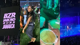 So This Happened At Chris Brown Concert Jamaica 2023 | Was VVIP & Sky View Worth It? 🥹