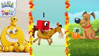 All the Animals from the Blocks Shows! | Learn to Read and Count | @LearningBlocks