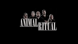 Animal Ritual - Back To The Start