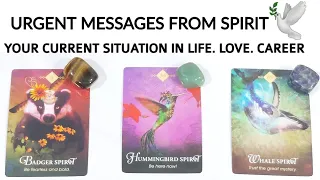 PICK A CARD 🕊 URGENT MESSAGES 🌌 WHAT DO YOU NEED TO HEAR RIGHT NOW - TIMELESS