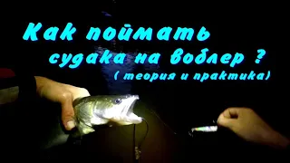 КАК ПОЙМАТЬ СУДАКА НА ВОБЛЕР. ТЕОРИЯ И ПРАКТИКА. #судак #спиннинг  Zander fish on a wobbler. #zander